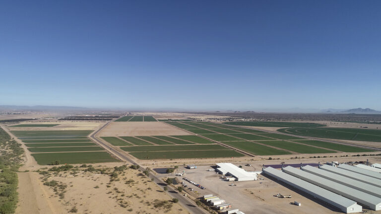 Murphy1 1600 768x432