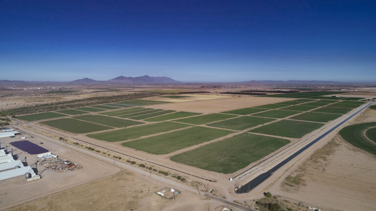 Murphy2 1600 768x432