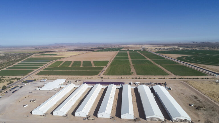 Murphy3 1600 768x432