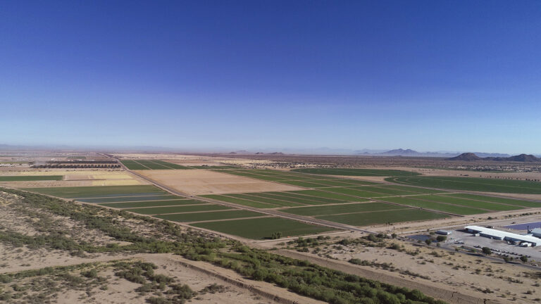 Murphy4 1600 768x432